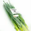 ALO SPRING ONION each