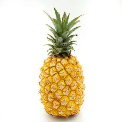 RF CONVENTIONALLY PINEAPPLE 1`S