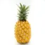 RF CONVENTIONALLY PINEAPPLE 1`S