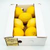 RIVERSIDE RIVERSIDE LEMONS SMALL PACK kg