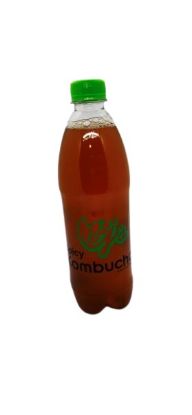 EJ`S KOMBUCHA SPICY RAW ORGANIC 500ml