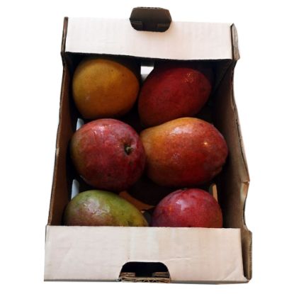 RIVERSIDE MANGOES S/BOX each