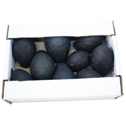 RIVERSIDE UNRIPENED/RIPE AVOS BOX Small