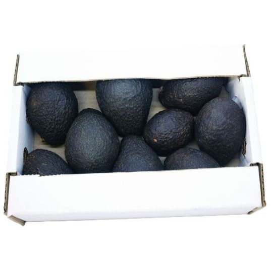 RIVERSIDE UNRIPENED/RIPE AVOS BOX Small