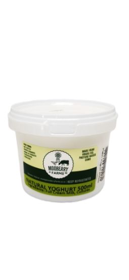 MF NATURAL YOGHURT 500ml