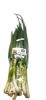 ALOE DALE SPRING ONION each