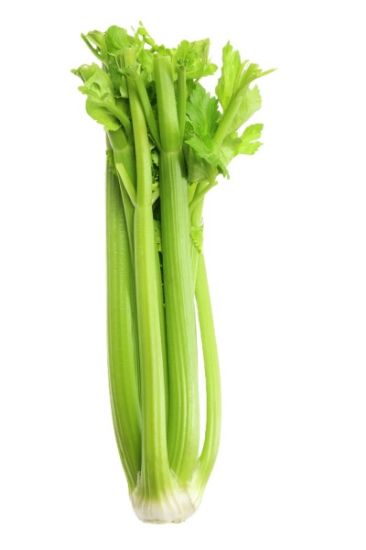 NN ORG CELERY