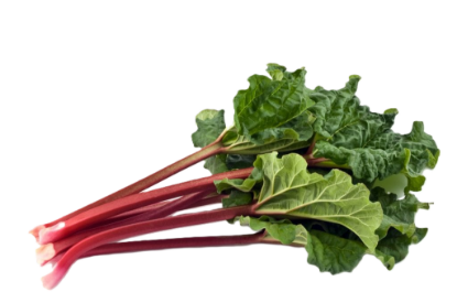 AD RHUBARB 300g
