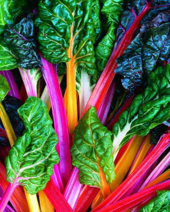 AD SWISS CHARD LIGHTS PACK