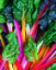 AD SWISS CHARD LIGHTS PACK
