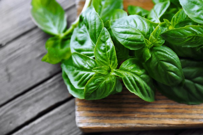 AD BASIL
