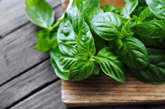 AD BASIL