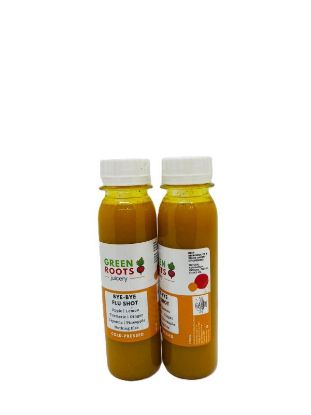 GRJ BYE-BYE FLU SHOT 100ml