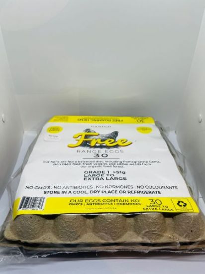 GANICO LARGE TO EXTRA LARGE EGGS TRAY