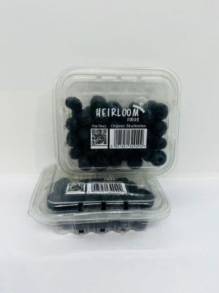 NN ORG BLUEBERRIES 125