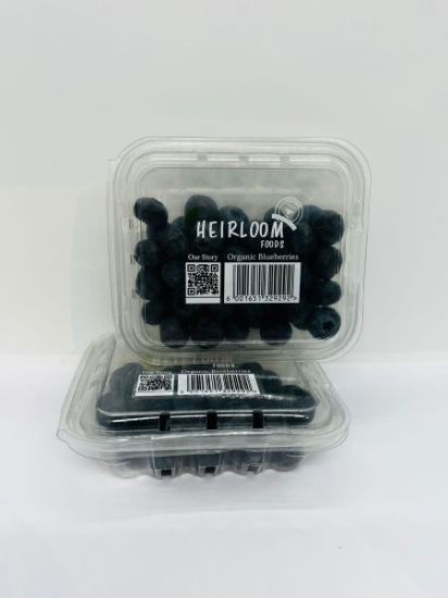NN ORG BLUEBERRIES 125