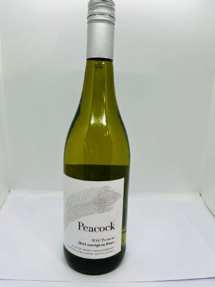 PEACOCK WILD FER SAUVIGON BLANC 2024 750ml
